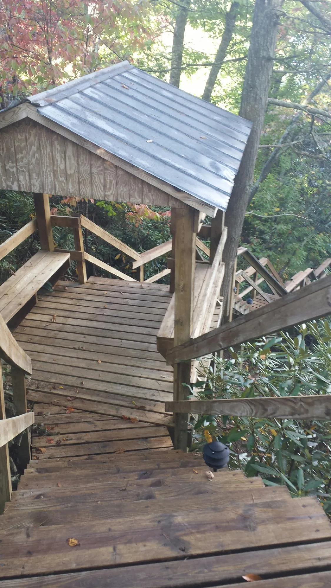 Metal roofed shelter over wooden steps on a wooded walkway — Skylight Repair & Installation work by our crew in Pilger